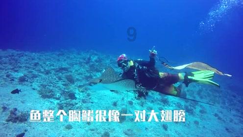 一图读懂惠东法院工作报告，员额法官年人均结案超500件